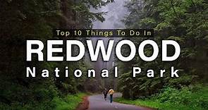 Top 10 Things To Do In Redwood National Park
