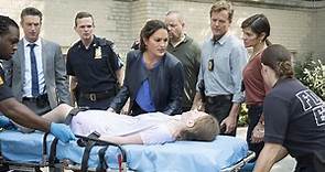 Law & Order: Special Victims Unit: Community Policing | TVmaze