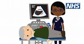 Primary Care Networks Animation