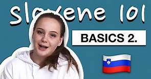Learn Slovenian - Basics pt. 2 | Slovene 101