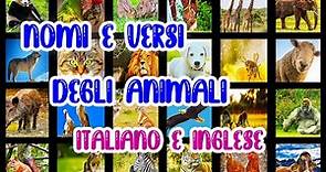 Nomi e versi degli Animali | Animal Sounds| in ITALIANO e in INGLESE | Pedagogia for you