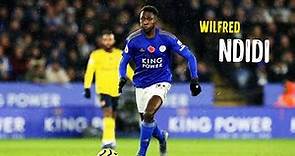 Wilfred Ndidi - Amazing tackles & Assists - Leicester | HD