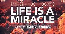 La vida es un milagro - película: Ver online en español