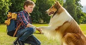 Lassie torna a casa: trama, cast, trailer e streaming del film su Sky Cinema