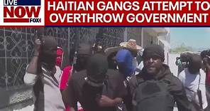 Haiti Crisis: Gang violence rises in Haiti amid jailbreak | LiveNOW from FOX