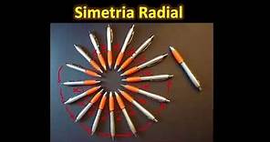 Simetria radial: O que é? Como se define? - Matemática - HORA DO ENEM