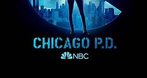 Chicago P.D.: Season 10 Episode 19 The Bleed Valve