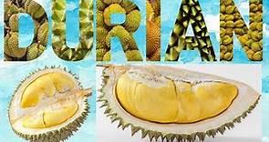 Durian - Discover King of Fruits - Durian Delicacies - From Savory to Sweet