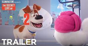 The Secret Life Of Pets 2 | The Busy Bee Trailer [HD] | Illumination