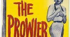 El merodeador / The Prowler (1951) Online - Película Completa en Español - FULLTV