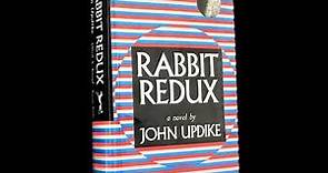 W. Kandinsky reads 'Rabbit Redux' (11 of 11)