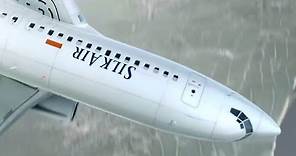 SilkAir Flight 185 - Crash Animation