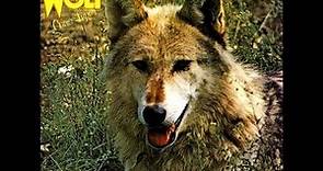 Darryl Way's Wolf, Canis Lupus 1973 (vinyl record)