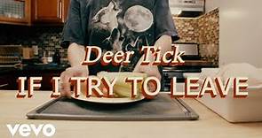 Deer Tick - If I Try To Leave (Lyric Video)