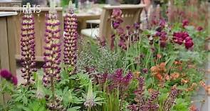 RHS Chelsea Flower Show 2022 Highlights | Royal Horticultural Society
