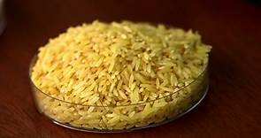 GMO debate grows over golden rice in the Philippines