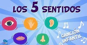 Los 5 sentidos | Canciones Educativas para Niños