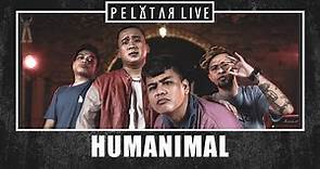 Humanimal // PELATAR LIVE