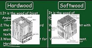 Hardwood vs Softwood |Quick Difference and Comparisons |