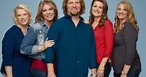 Sister Wives: Season 8 Episode 8 Tell All