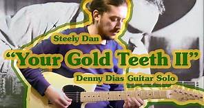 Your Gold Teeth II - Steely Dan (Denny Dias guitar solo)