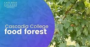 Cascadia College Food Forest