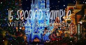 Disneyland Christmas ZOOM background