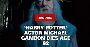 ‘Harry Potter’ actor Michael Gambon dies age 82