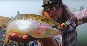 BEGINNERS Guide To Successful TROUT Fishing - 3 Detailed Trout Tactics