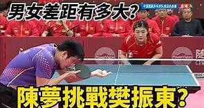 陳夢挑戰樊振東！男女乒世界第一的對決，乒乓球男女之間是否有差距？| Chen Mneg vs Fan Zhendong