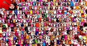 MY 550+ BEANIE BOO COLLECTION (2023)
