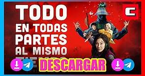 DESCARGAR Todo En Todas Partes Al Mismo Tiempo Everything Everywhere All at Once Latino 1080p