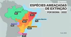 Levantamento do IBGE aponta aumento de espécies em risco de extinção; 42% da flora brasileira está ameaçada