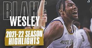 Blake Wesley 2021-22 Notre Dame Season Highlights | 14.4 PPG 2.4 APG 40.4 FG%