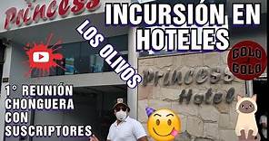 HOTELES EN LOS OLIVOS - 2 SUSCRIPTORES Y YO NOS FUIMOS A BUSCAR CHIQUITAS