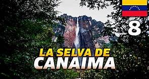 🐍CANAIMA🐍 Entro en LA SELVA MÁS PROFUNDA de VENEZUELA