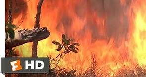 Crocodile Dundee II (1988) - Bushfire Showdown Scene (9/10) | Movieclips