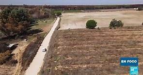 La sequía y la agricultura intensiva amenazan al Parque Nacional de Doñana en España