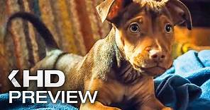 A DOG'S WAY HOME - First 10 Minutes Preview & Trailer (2019)