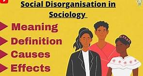 Social disorganisation sociology | Meaning | Definition | Causes | Effects | Examples |