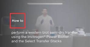 How to perform a western blot semi-dry transfer using Invitrogen Power Blotter&Select Transfer Stack