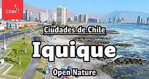 Ciudades de Chile: Iquique - Naturaleza Abierta