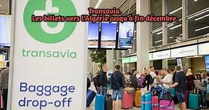 Transavia Les billets d’avion vers l’Algérie jusqu’à fin décembre