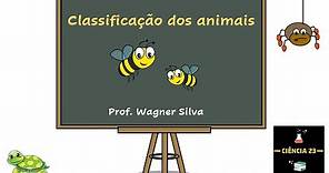 Aula: Classificação dos animais | 3º ANO | Ensino Fundamental