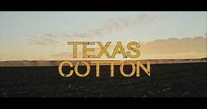 TEXAS COTTON (Official Teaser)