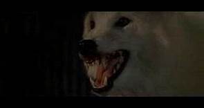 wolfen (lobos humanos)