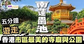 南蓮園池 至 志蓮淨苑 五分鐘遊走香港市區最美的寺廟與公園｜志蓮淨苑與南蓮園池｜Vlog｜假日好去處｜