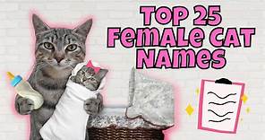 Top 25 Most Popular Female Cat Names