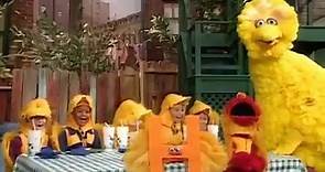 Sesame Street Episode 3786 (Alan, Hooper's New Storekeeper, Caters A Birdketeer Meeting/Season Premi
