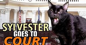 Talking Kitty Cat 69 - Sylvester Goes To Court